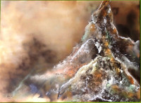 /album/fotogalerie-avadesign/img-7598-jpg/